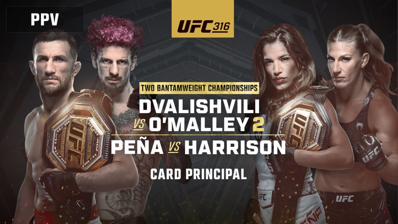 UFC 316