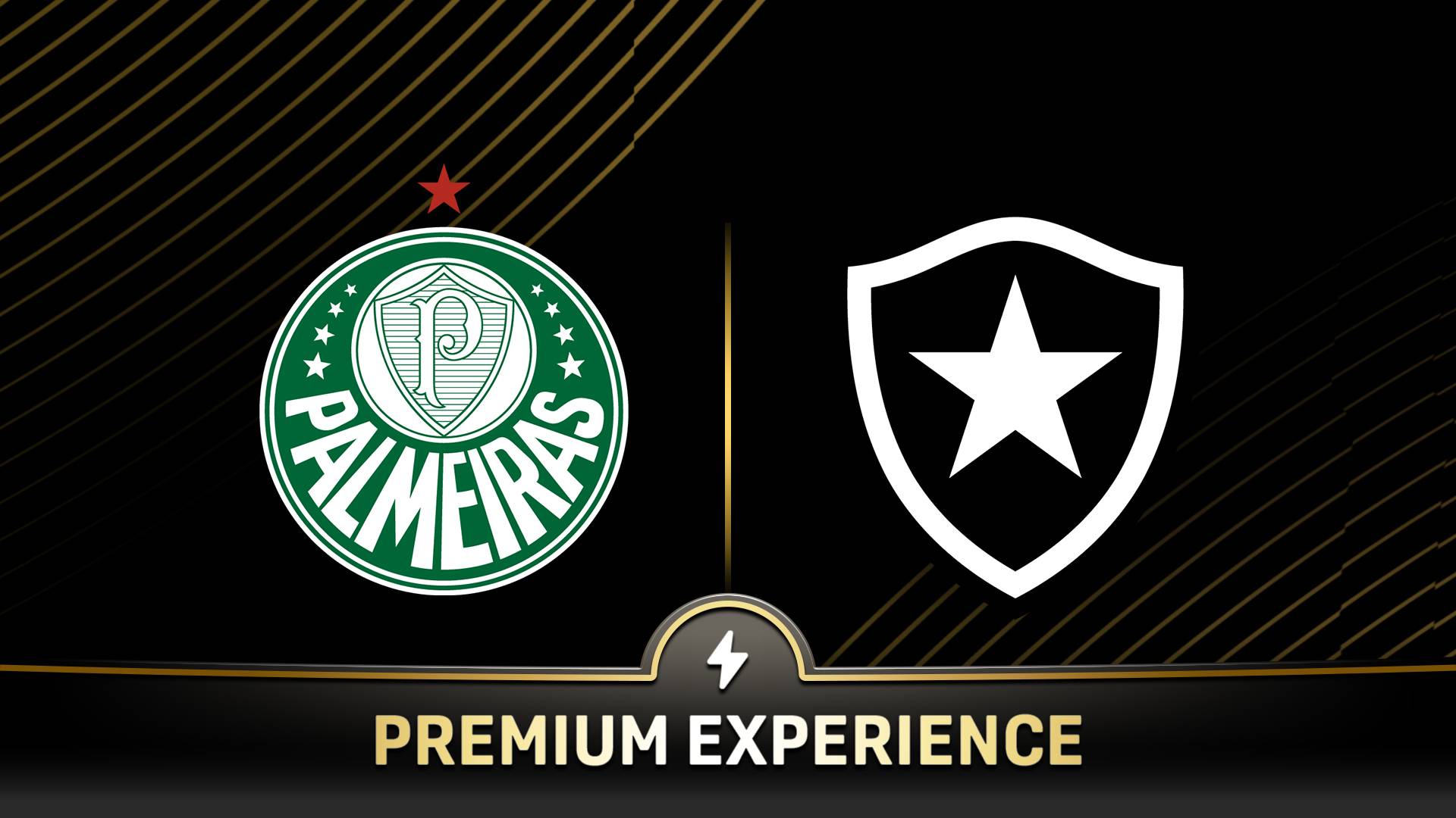 Palmeiras x Botafogo